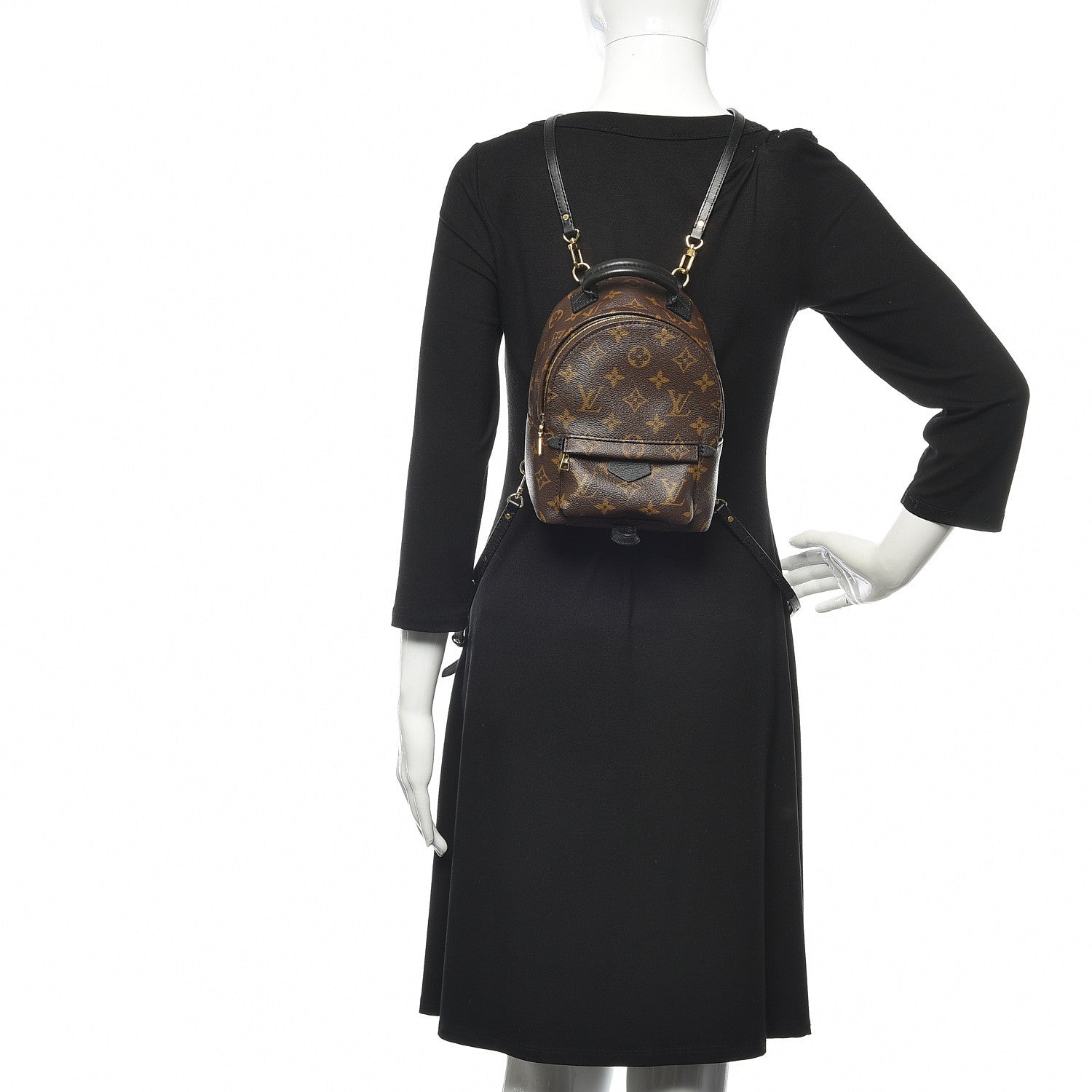 Louis Vuitton Monogram Palm Springs Backpack Mini 2 of 12