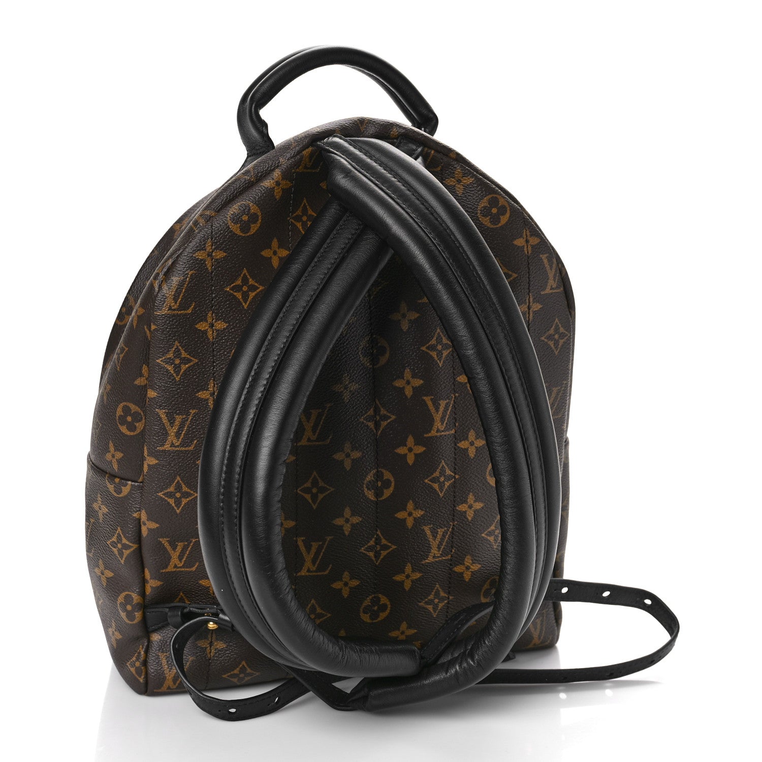 Louis Vuitton Monogram Palm Springs Backpack MM 3 of 8