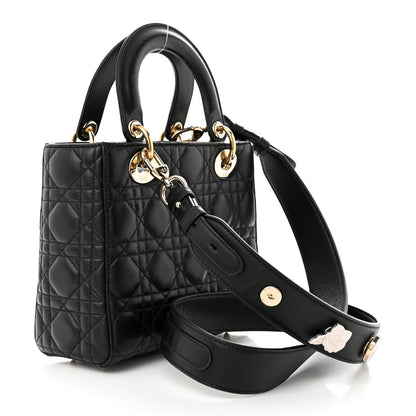 Christian Dior Lambskin Cannage Small Lucky Badges My Lady Dior Black 3 of 10