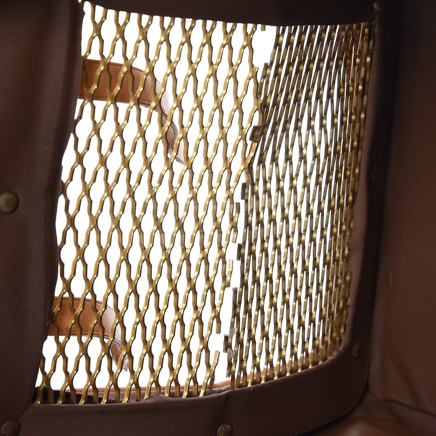 Monogram Sac Chien 40 Pet Carrier