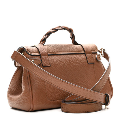 Mulberry Heavy Grain Mini Alexa Chestnut 3 of 9