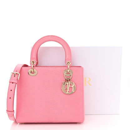 Christian Dior Lizard Medium Lady Dior 15 of 15
