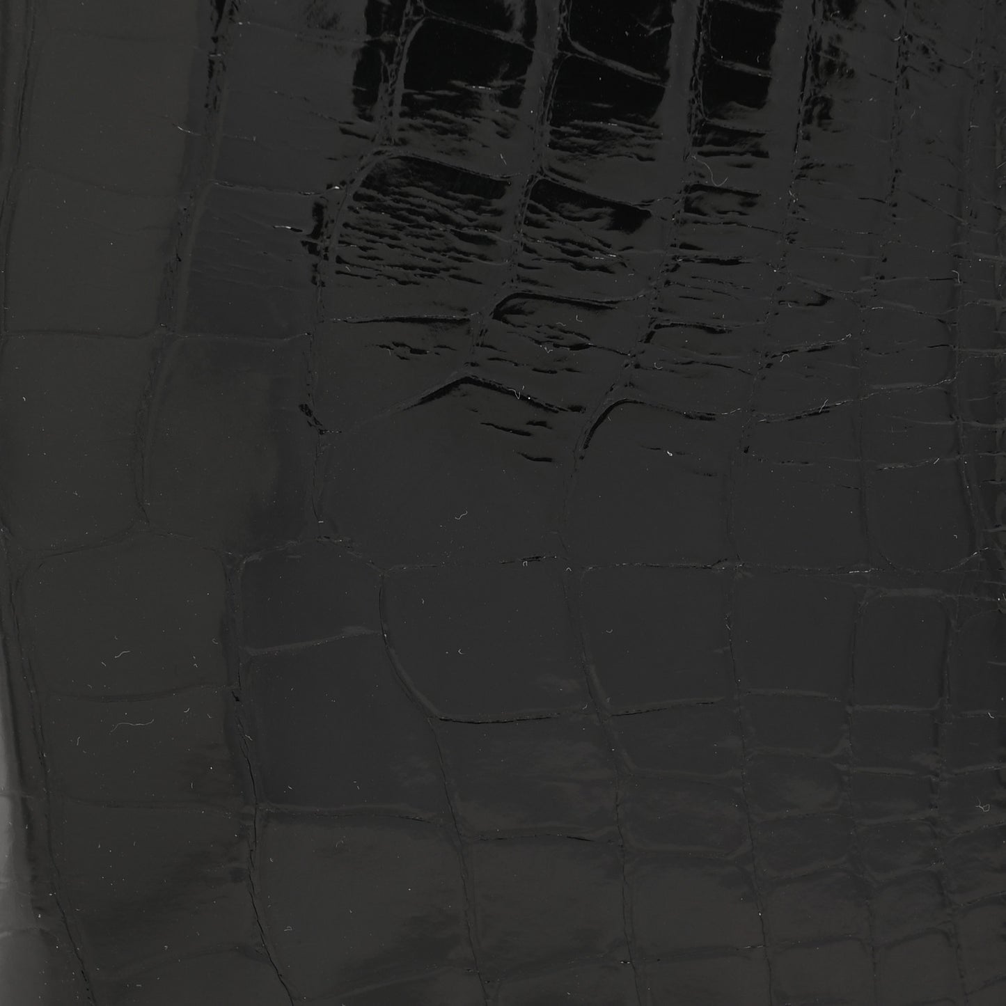 Shiny Alligator MC2 Euclide Card Holder Black