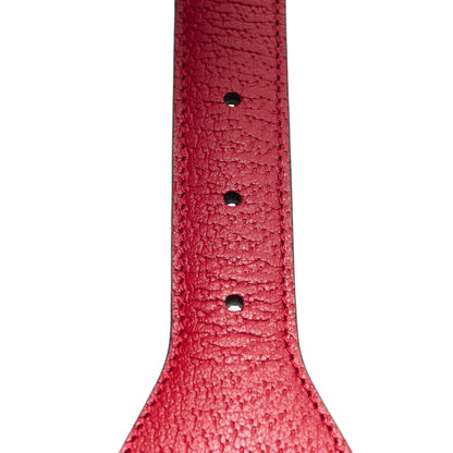Gucci X ADIDAS Textured Dollar Calfskin Trefoil 50/25mm Belt 85 34 Hibiscus Red Off White 4 of 6