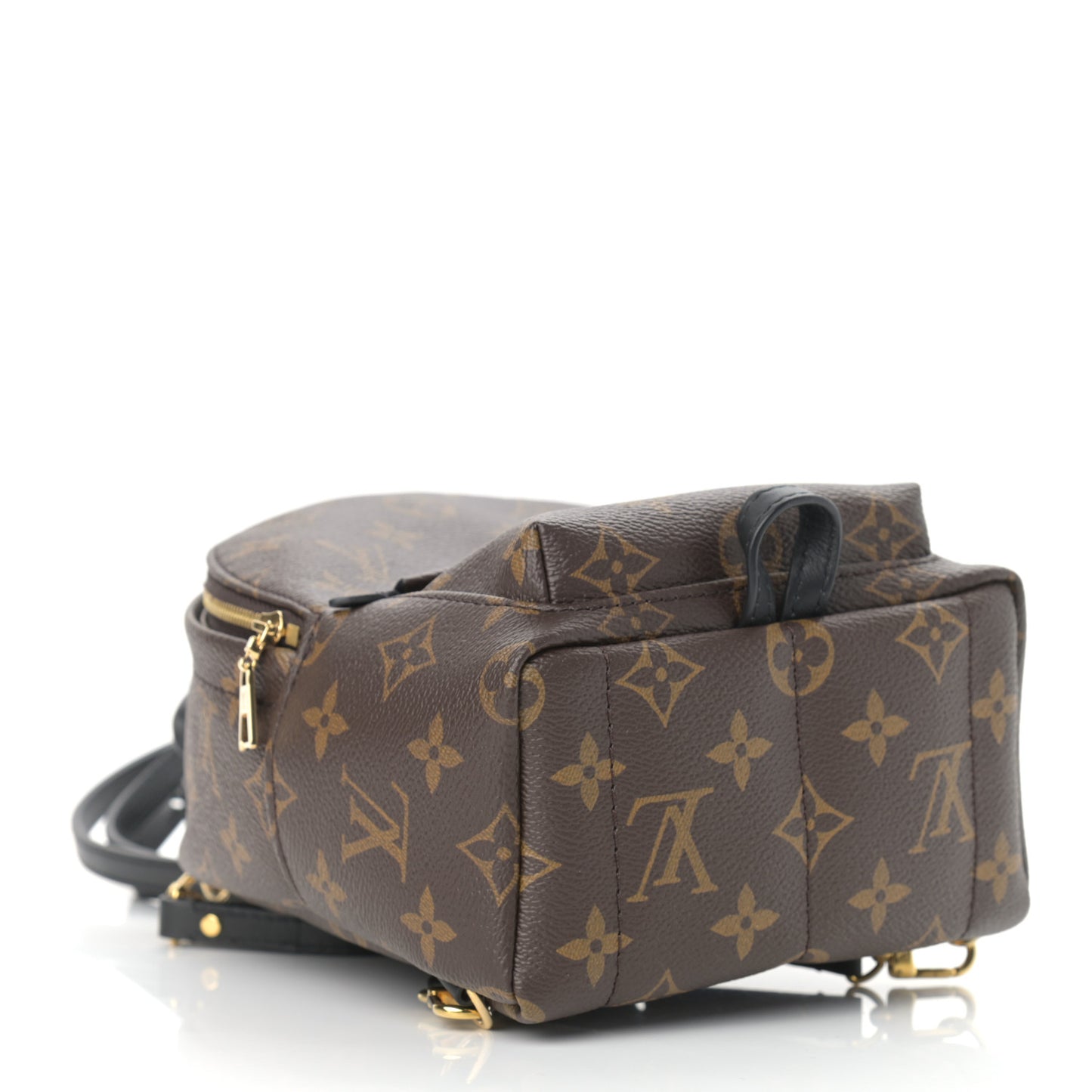 Monogram Palm Springs Backpack Mini