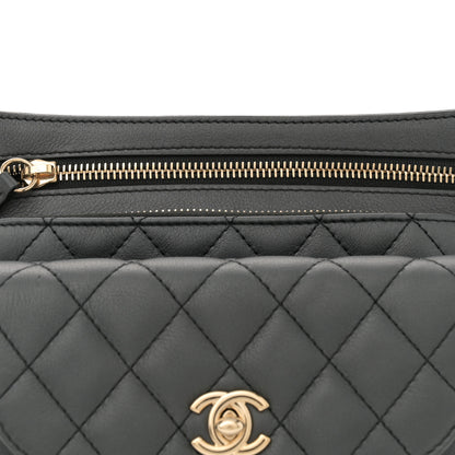 Chanel Metallic Calfskin Flap Chain Waist Bag Ruthenium 8 of 10