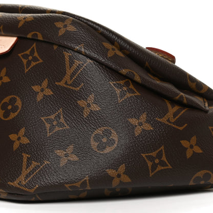 Louis Vuitton Monogram Bumbag 11 of 13
