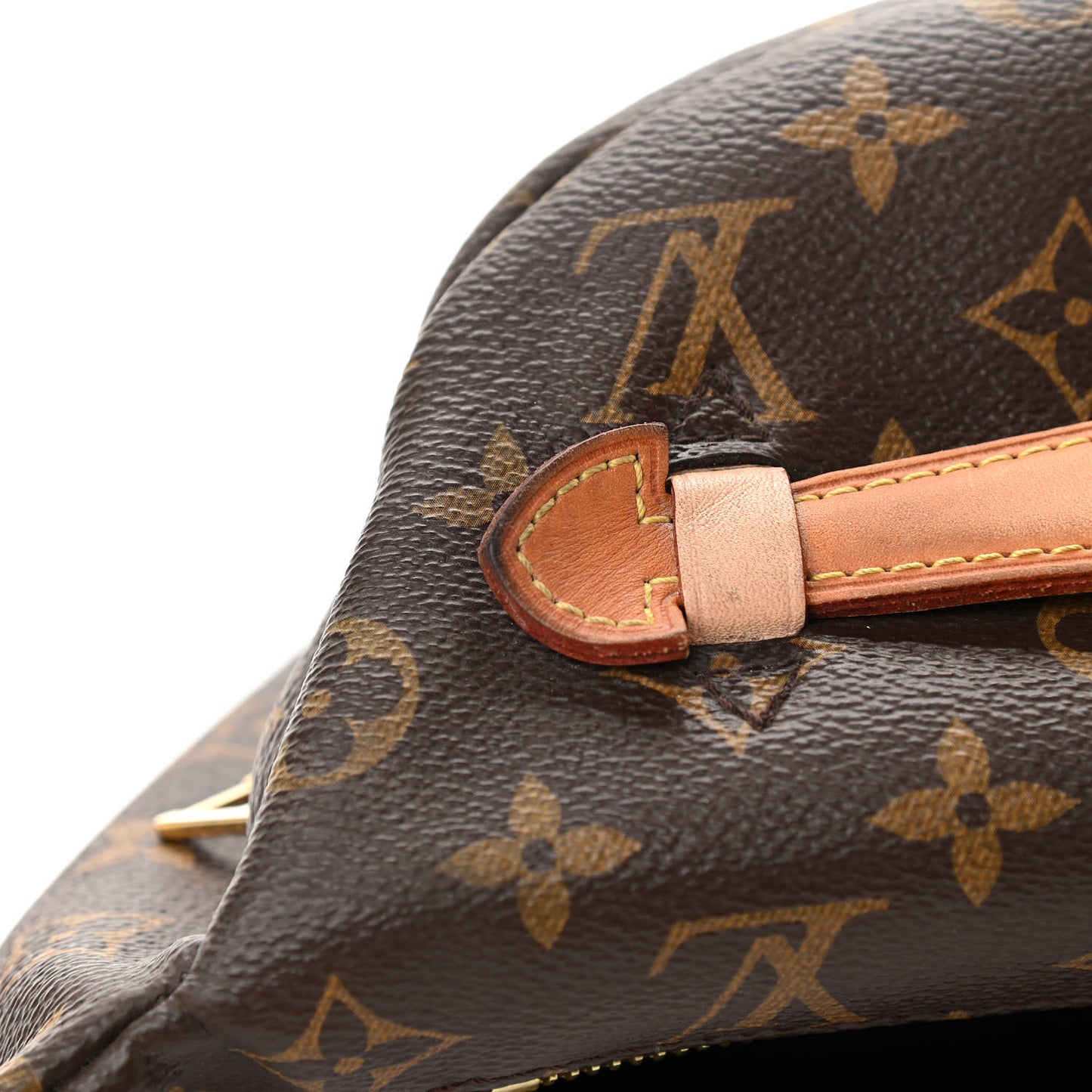 Monogram Bumbag