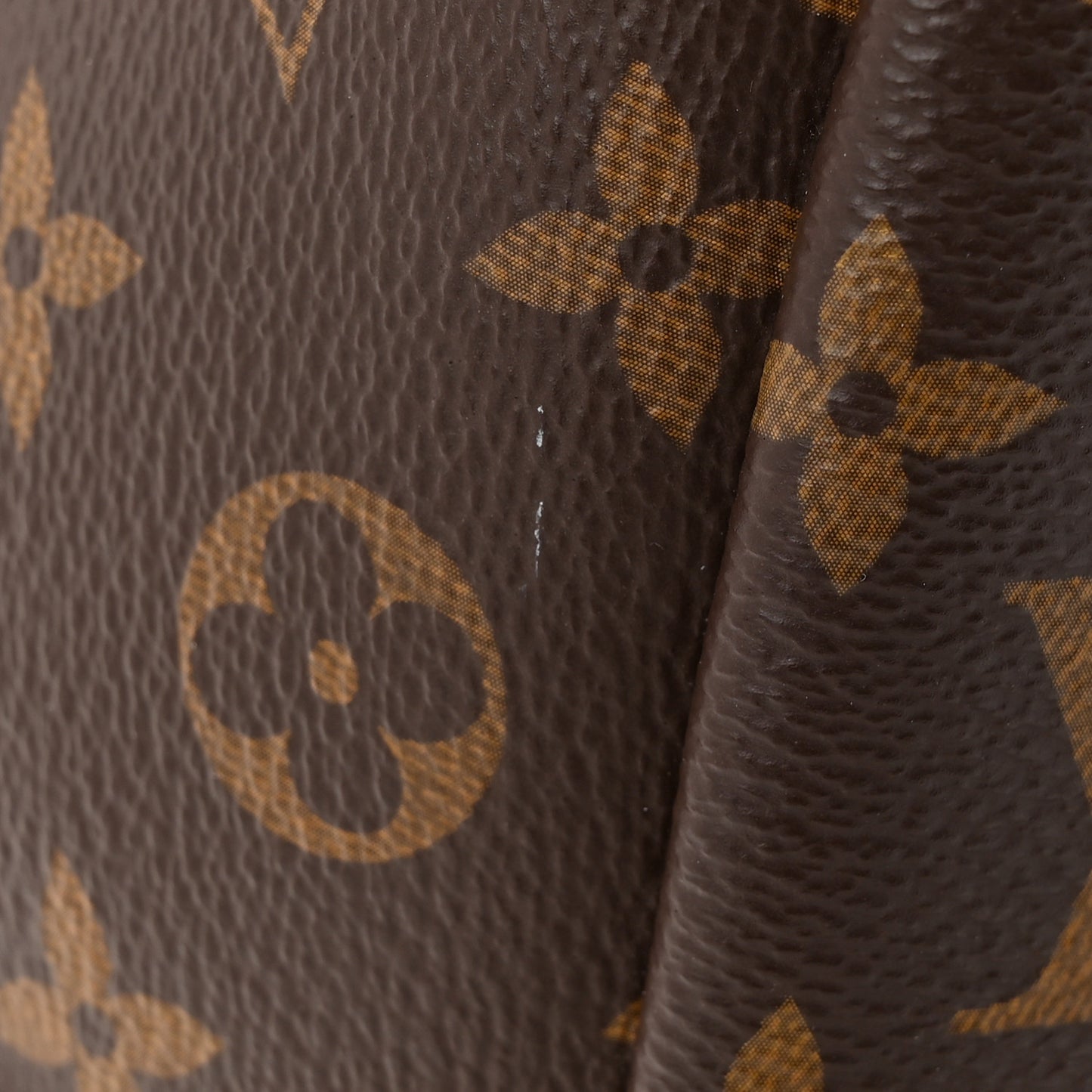 Monogram Palm Springs Backpack MM