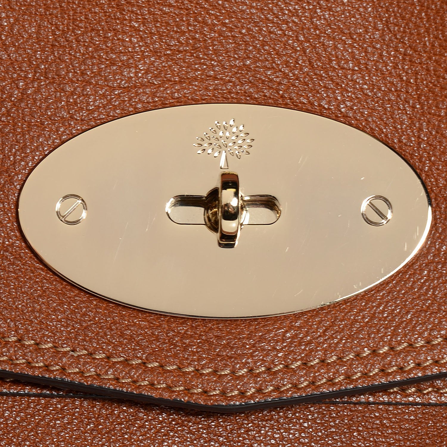 Mulberry Soft Buffalo Medium Alexa Oak 11 of 11