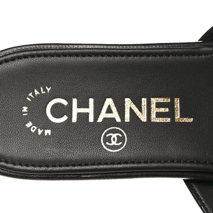 Chanel Lambskin CC Thong Sandals 37 Black 9 of 9