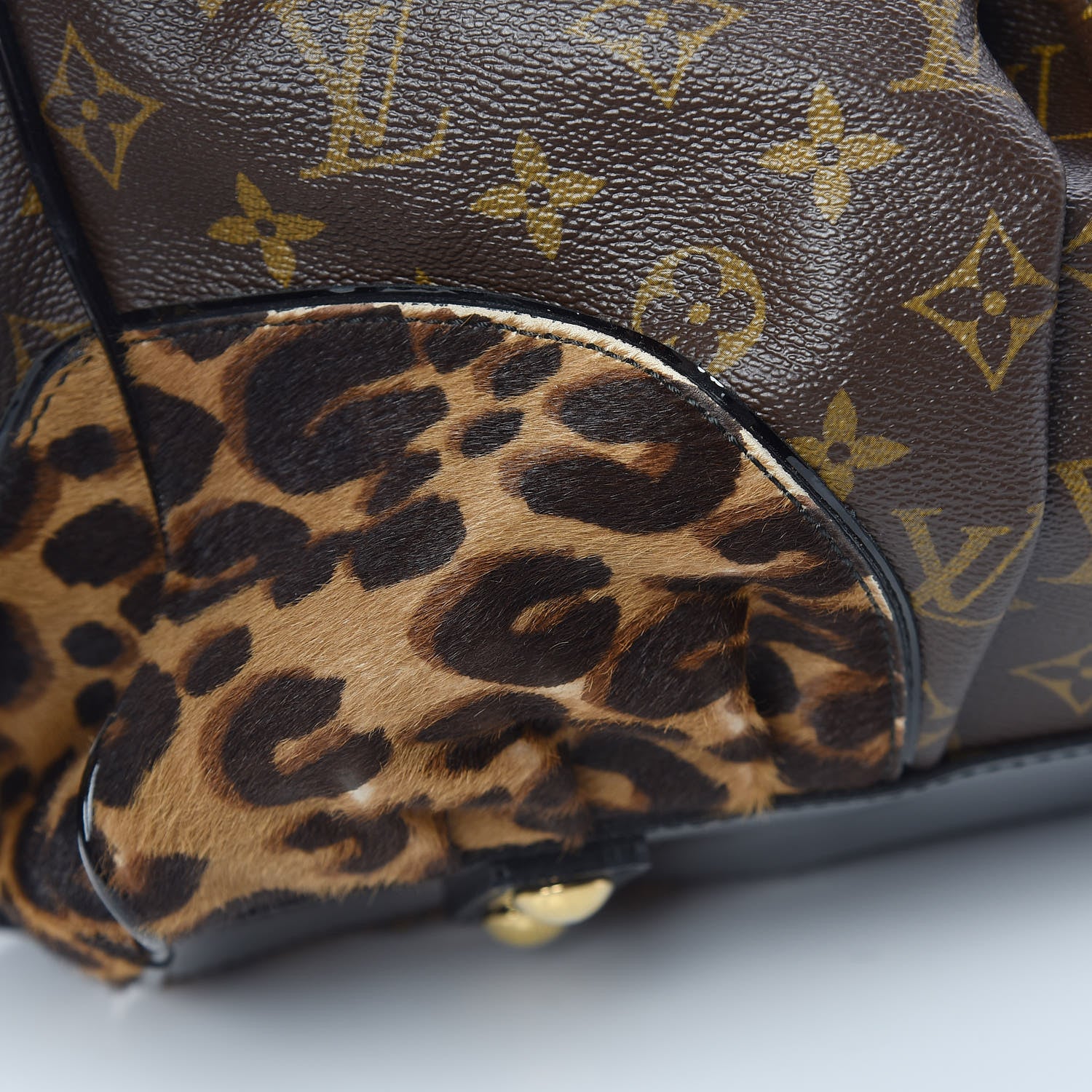 Louis Vuitton Monogram Leopard Adele 15 of 15