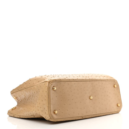 Christian Dior Ostrich Large Diorissimo Tote Beige 5 of 15