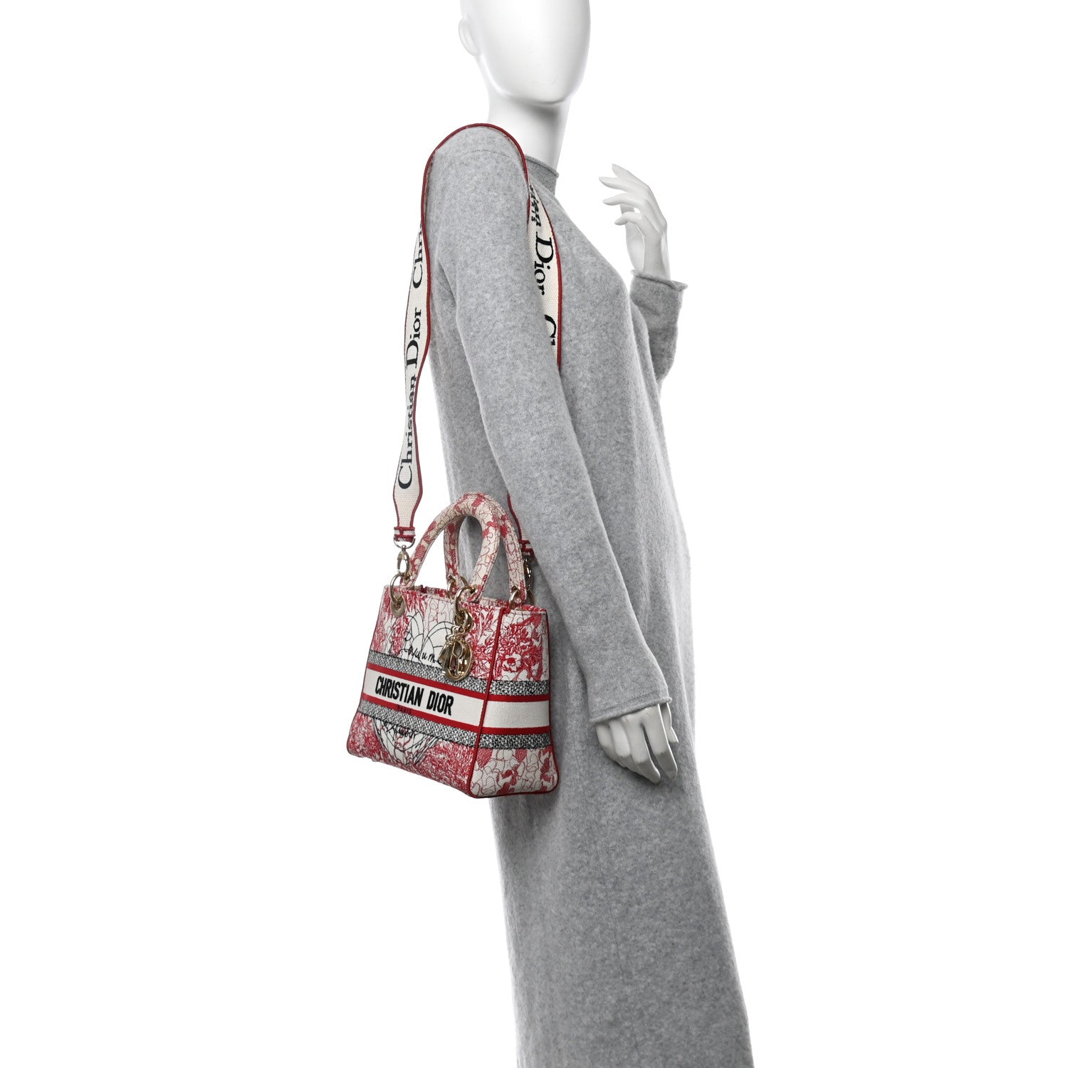 Christian Dior Canvas Embroidered Medium Dioramour D-Royaume Lady D-Lite Red Multicolor 2 of 13