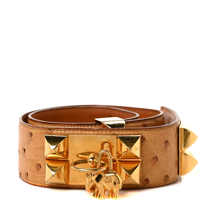 Hermes Ostrich 45mm Collier De Chien CDC Belt 70 1 of 5
