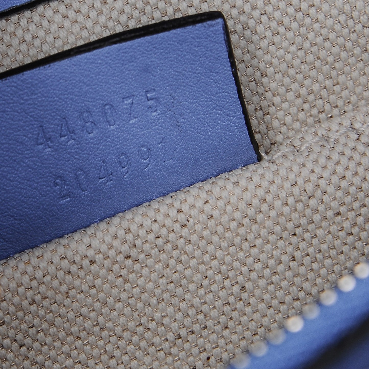 Calfskin Bamboo Web Embroidered Medium Dionysus Top Handle Bag Light Blue