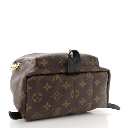 Louis Vuitton Monogram Palm Springs Backpack PM 4 of 12