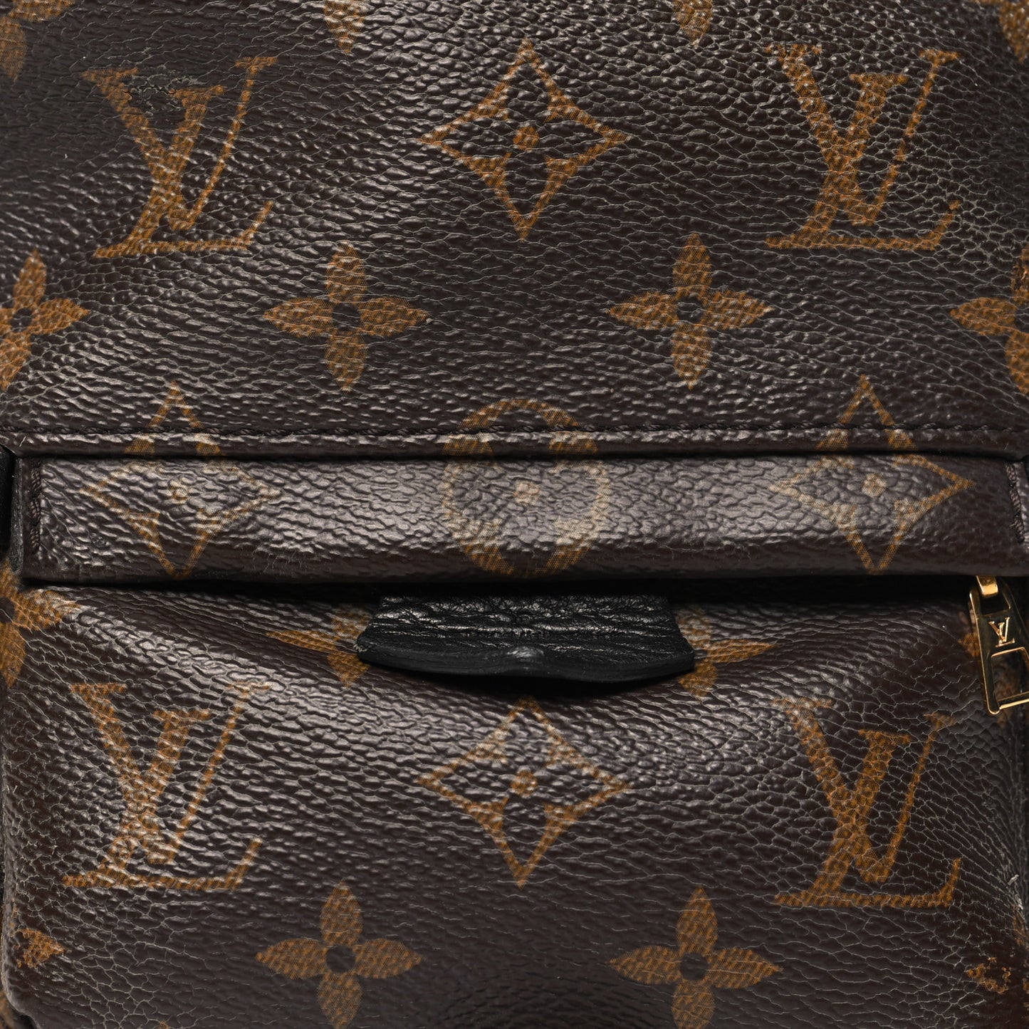 Monogram Palm Springs Backpack Mini