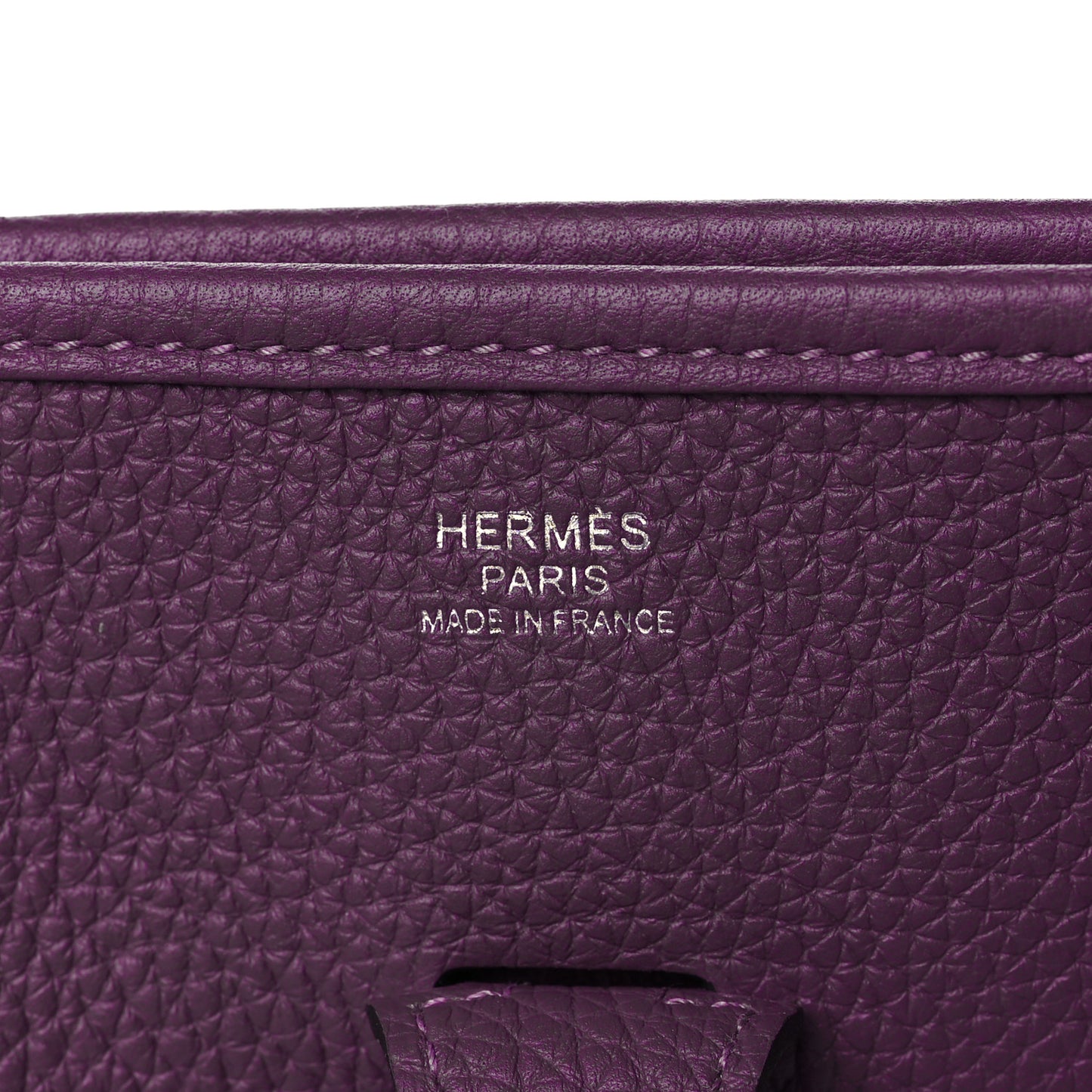 Taurillon Clemence Evelyne III PM Anemone
