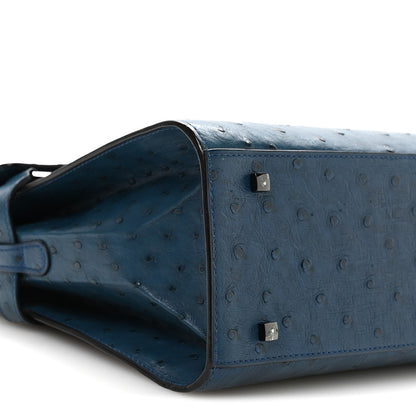 Delvaux Ostrich GM Tempete Satchel Bleu De Presse 8 of 9