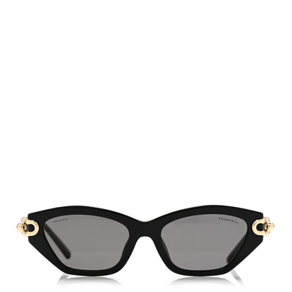 Tiffany Acetate HardWear Cat Eye Sunglasses TF4231U Black 2 of 9