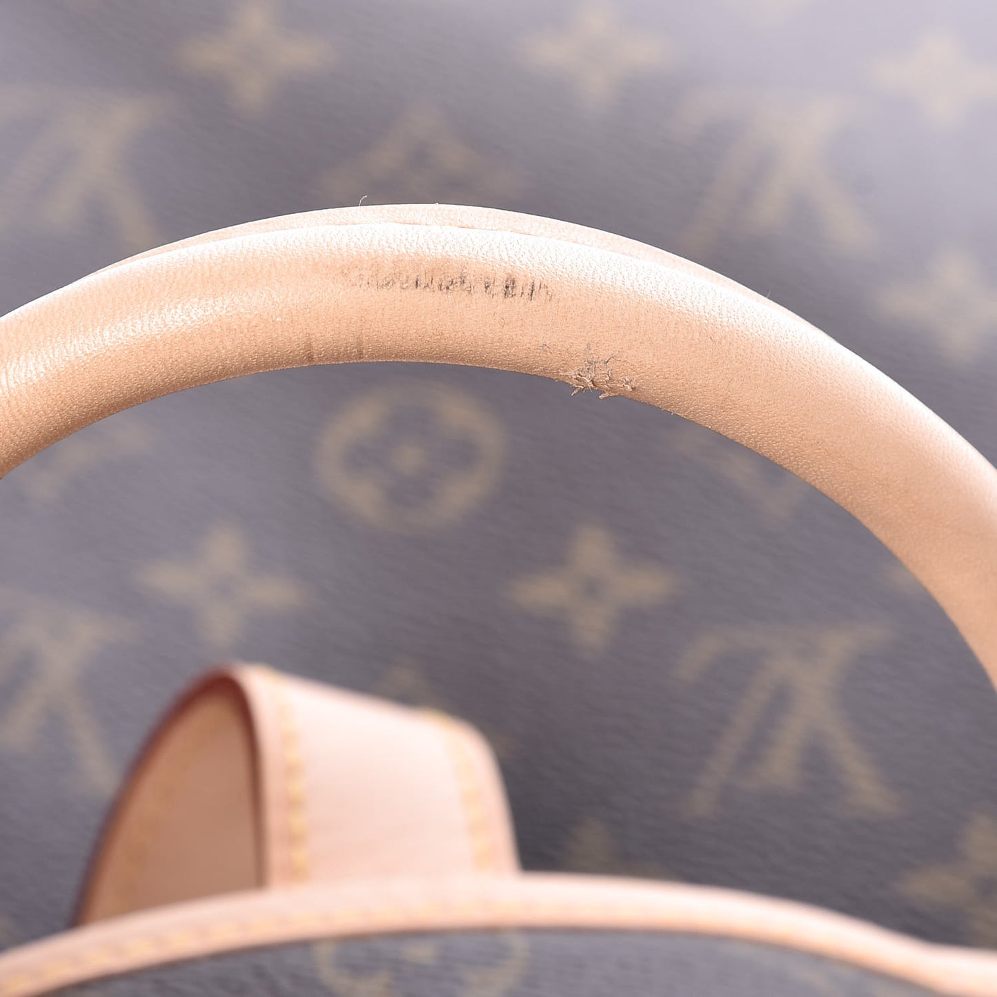 Monogram Garment Cover 2 Hangers