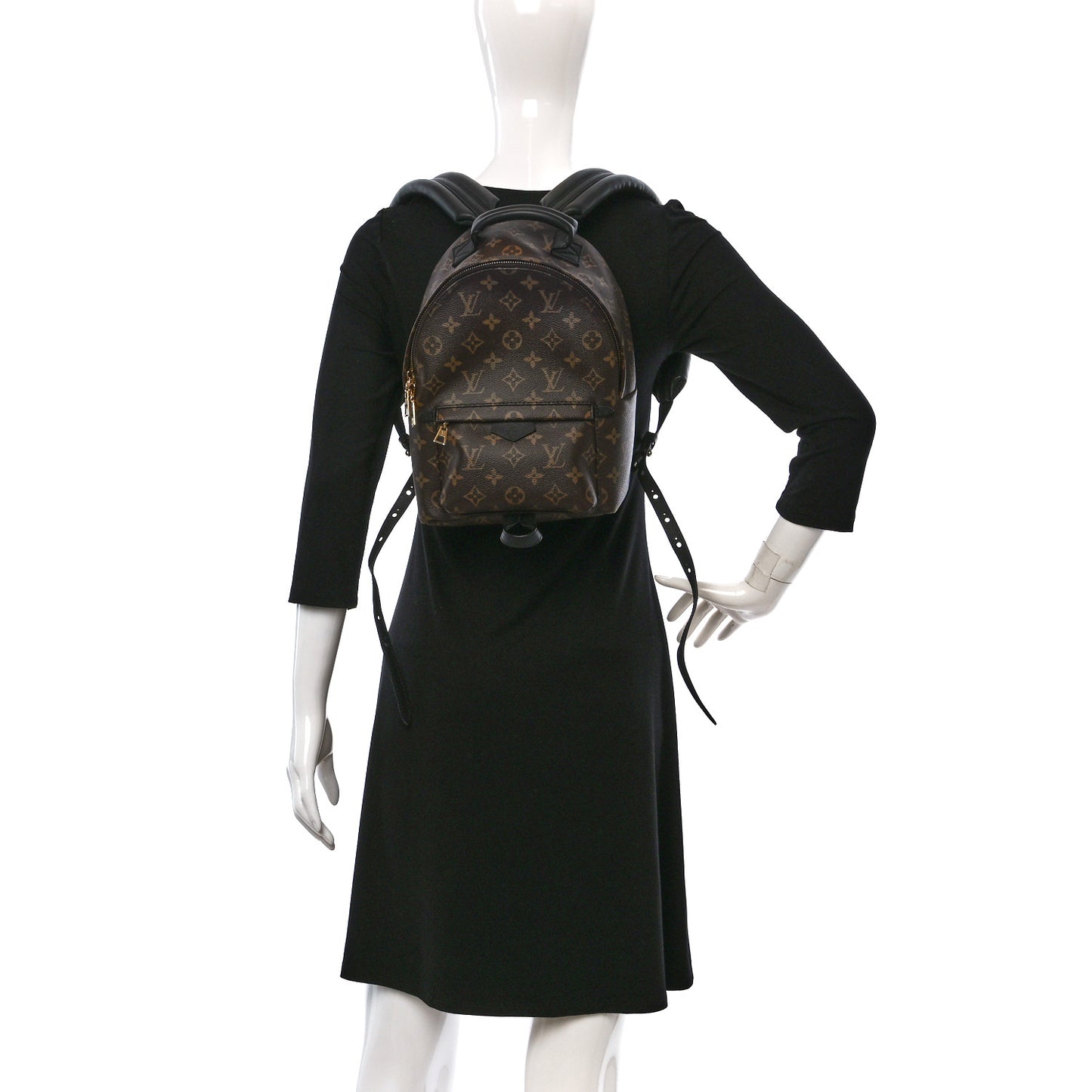Monogram Palm Springs Backpack PM