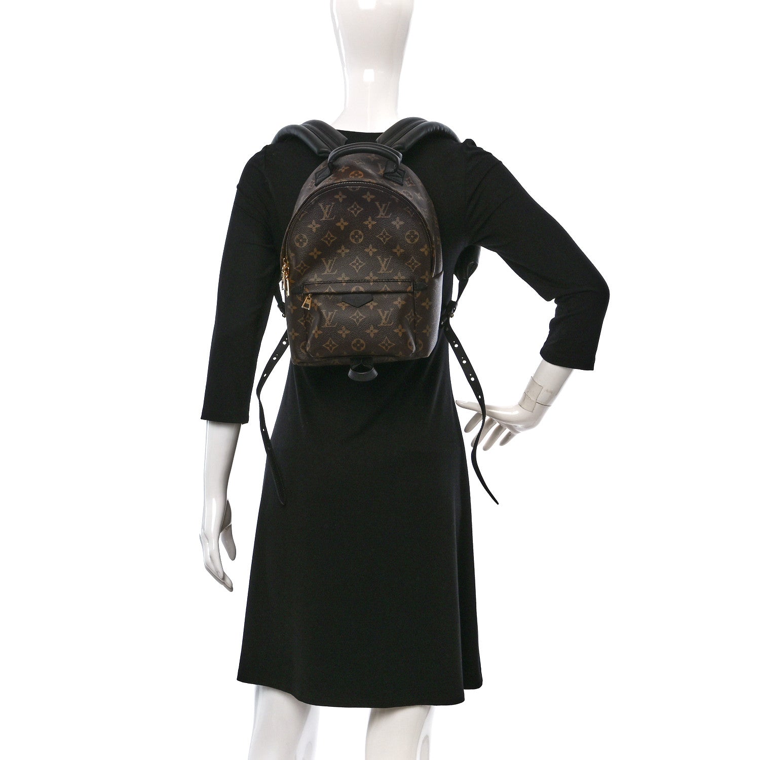 Louis Vuitton Monogram Palm Springs Backpack PM 2 of 8