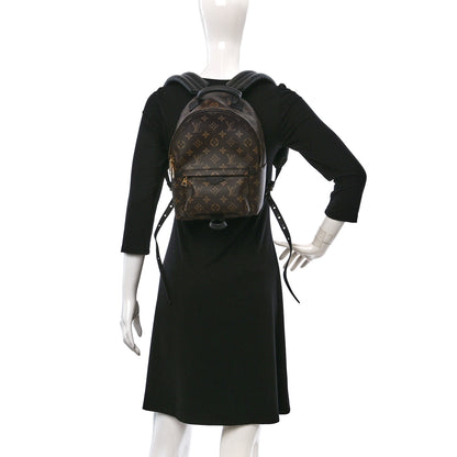 Louis Vuitton Monogram Palm Springs Backpack PM 2 of 8