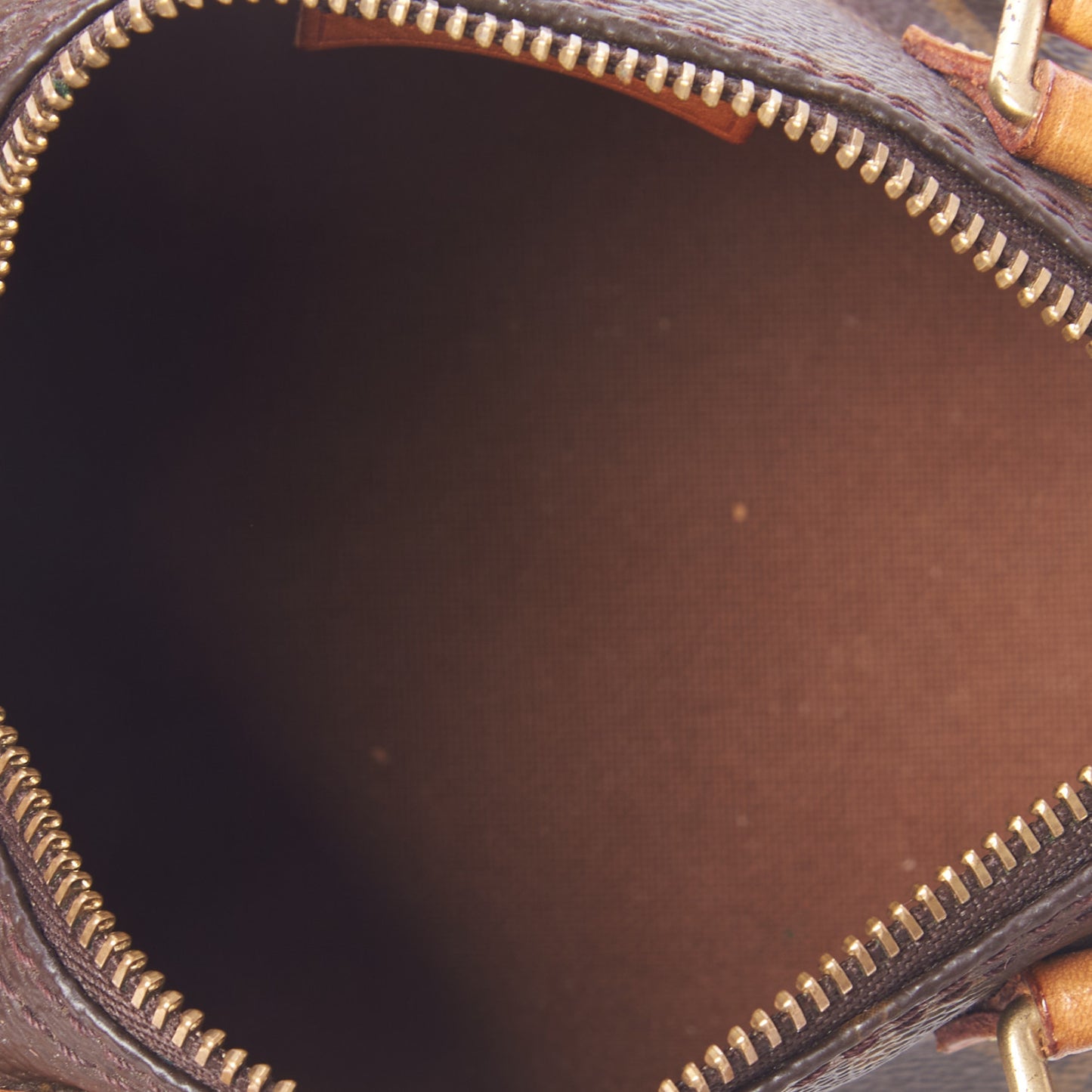 Monogram Mini Sac HL Speedy