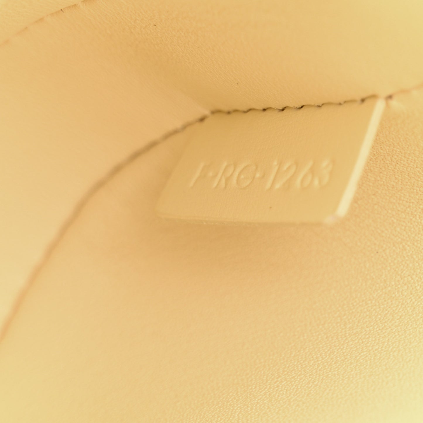 Shiny Calfskin Medium Croque Bag Sunlight
