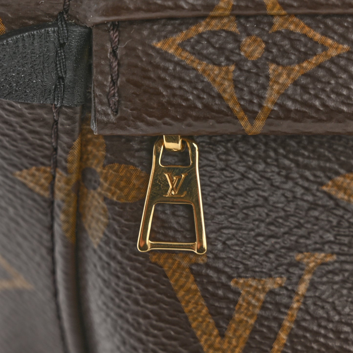 Monogram Palm Springs Backpack Mini