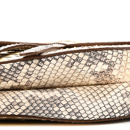 Christian Dior Metallic Snakeskin Saddle Bag Gold Multicolor 9 of 10