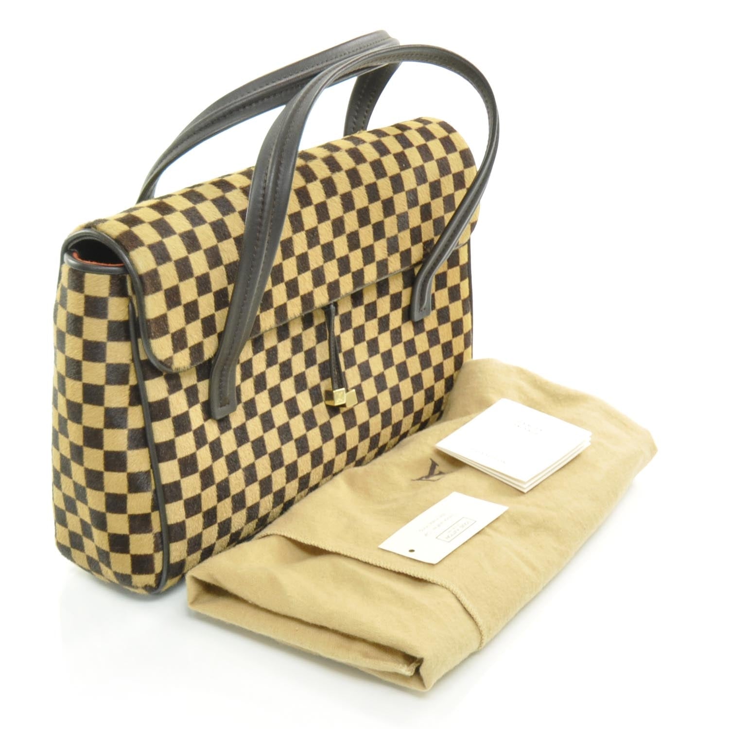 Louis Vuitton Damier Sauvage Lionne 4 of 10