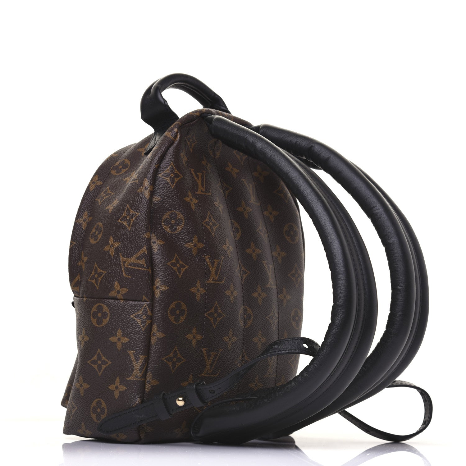 Louis Vuitton Monogram Palm Springs Backpack PM 2 of 12