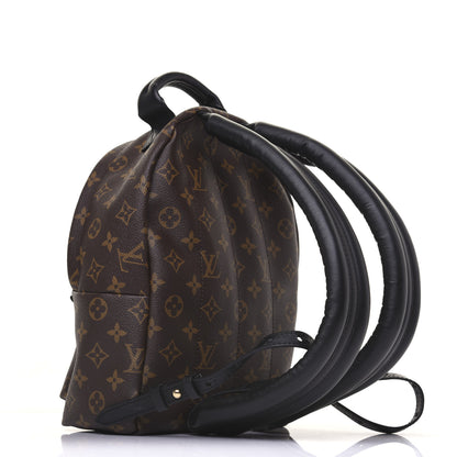 Louis Vuitton Monogram Palm Springs Backpack PM 2 of 12