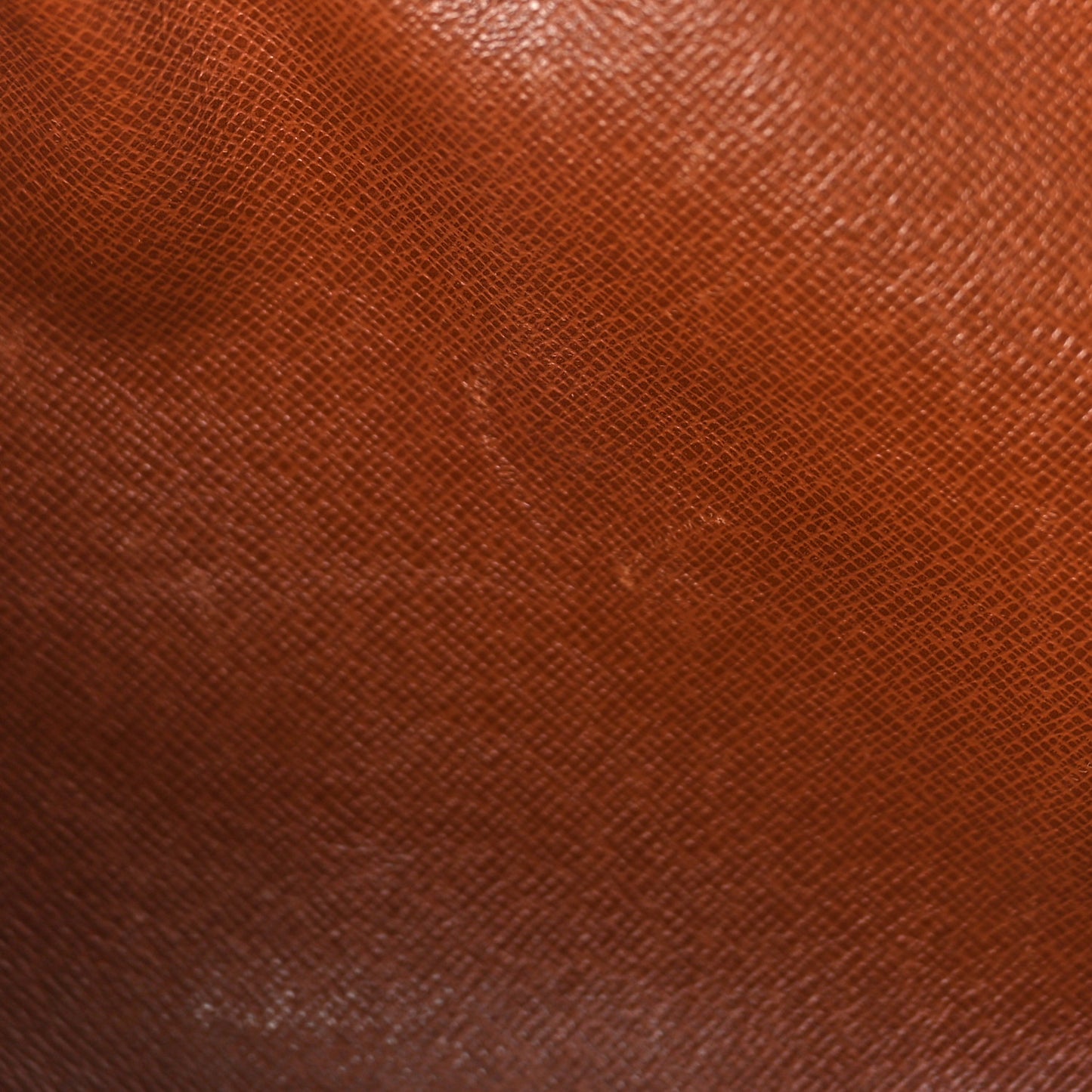 Monogram Papillon 30 with Companion