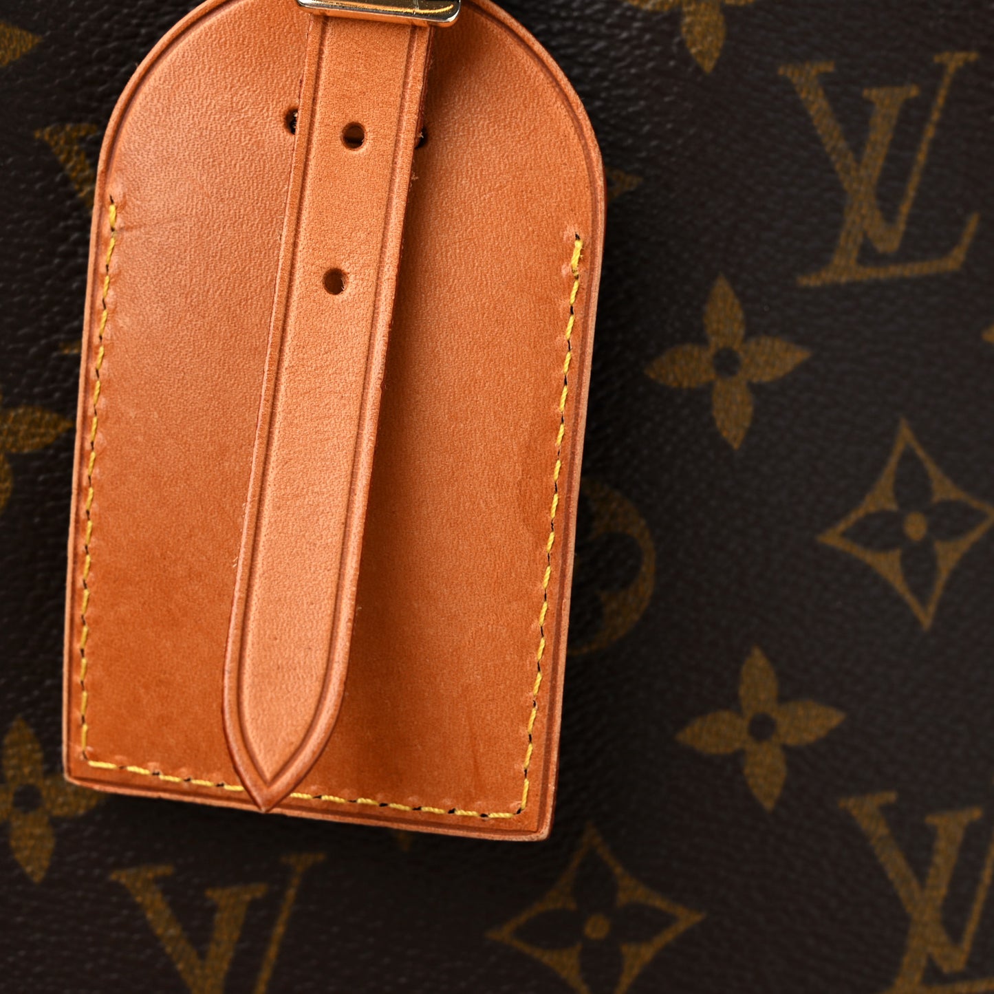 Monogram Garment Bag