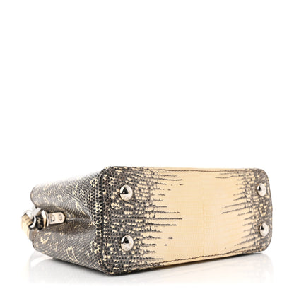 Louis Vuitton Lizard Ombre Capucines Mini Natural 4 of 11
