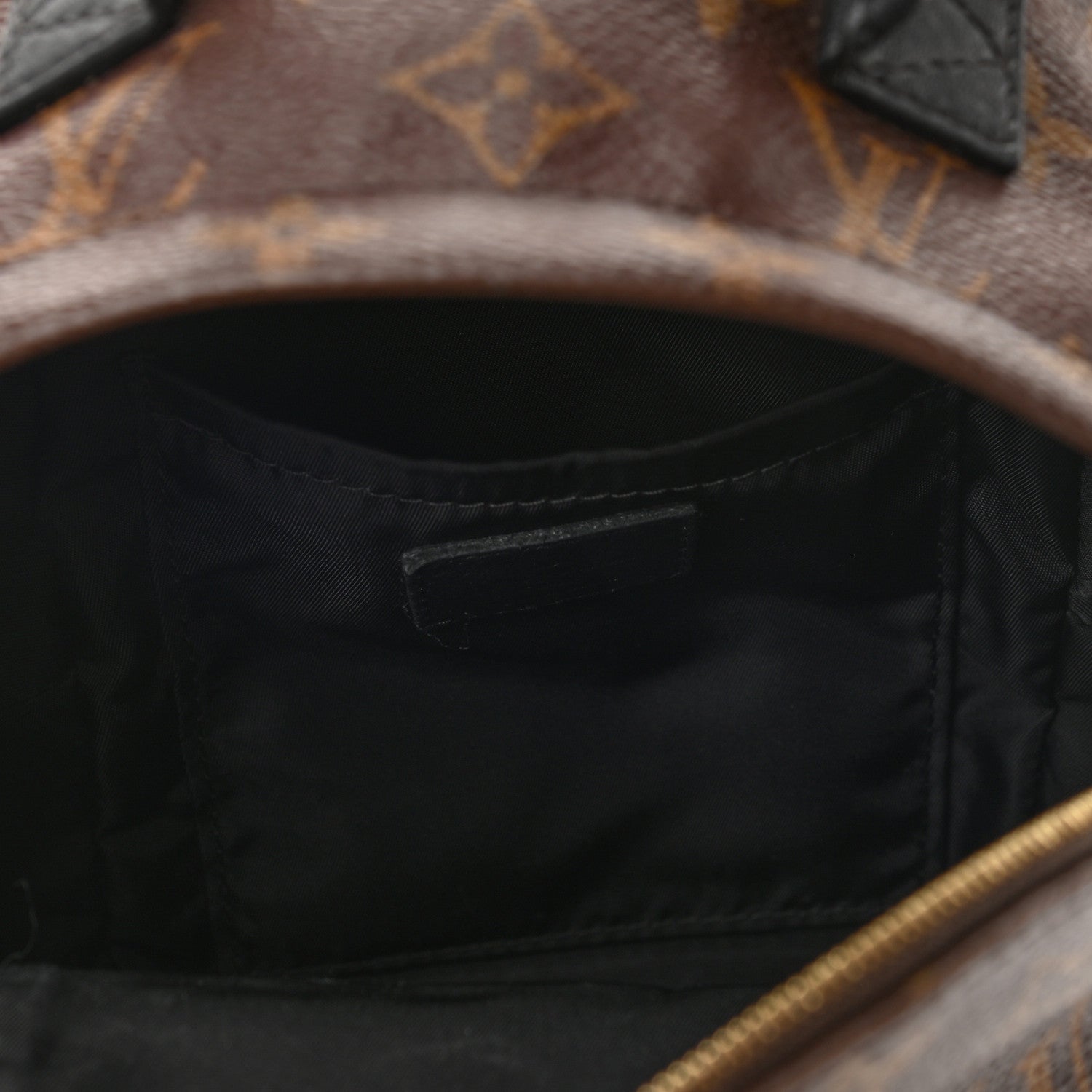 Louis Vuitton Monogram Palm Springs Backpack Mini 5 of 10