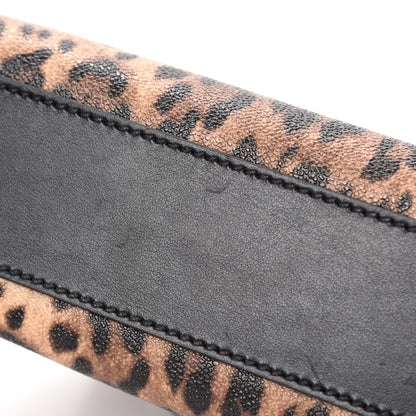 Dolce & Gabbana Dauphine Leopard Print Mini Miss Sicily Satchel Black 10 of 12