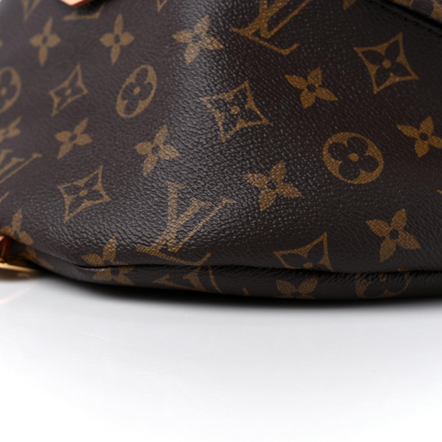 Louis Vuitton Monogram Bumbag 9 of 12
