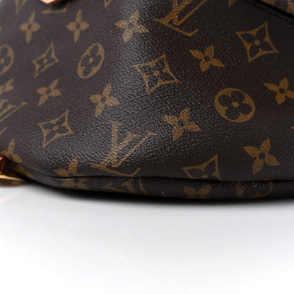 Louis Vuitton Monogram Bumbag 9 of 12