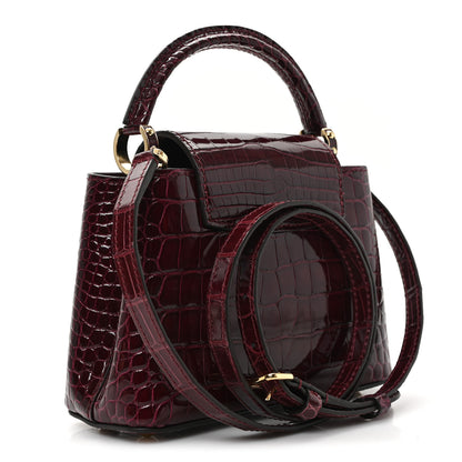 Louis Vuitton Crocodile Mini Capucines  Bordeaux 3 of 10