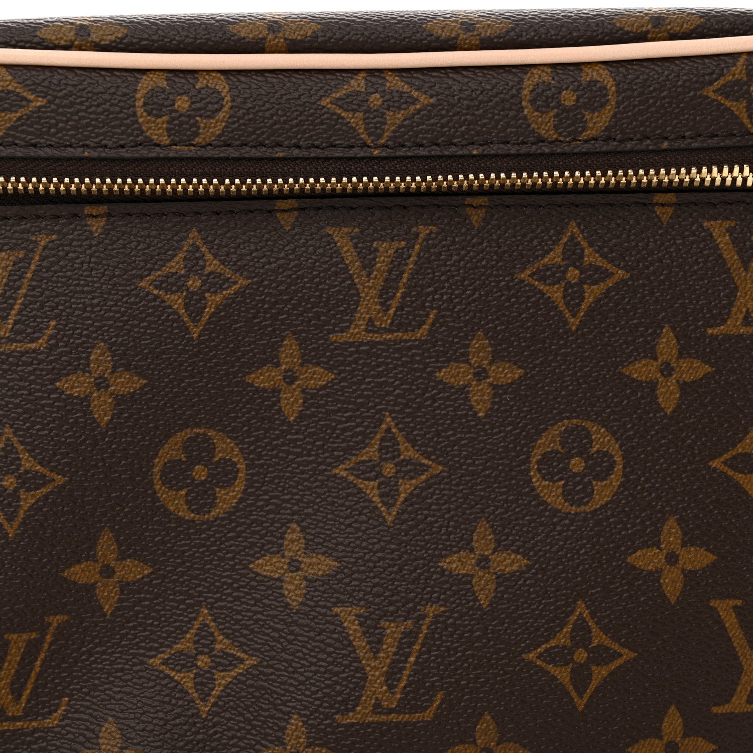 Louis Vuitton Monogram Nice BB 7 of 10