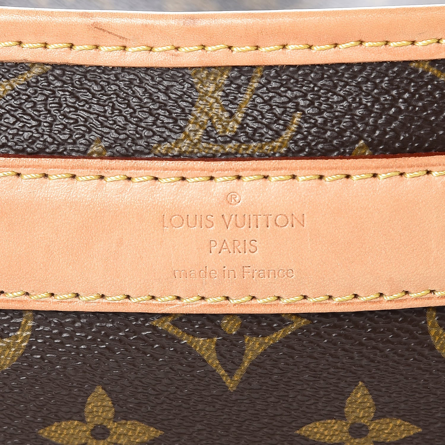 Louis Vuitton Monogram Sac Chien 40 Pet Carrier 7 of 11