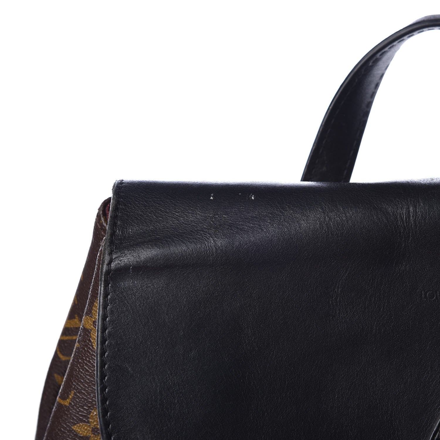 Louis Vuitton Monogram Macassar Palk Backpack 14 of 19