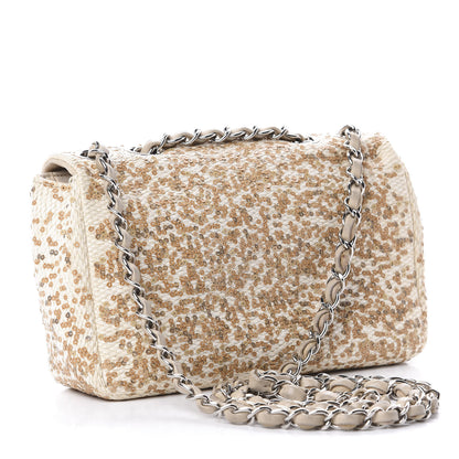 Chanel Raffia Sequin Small Single Flap Beige Gold 3 of 13