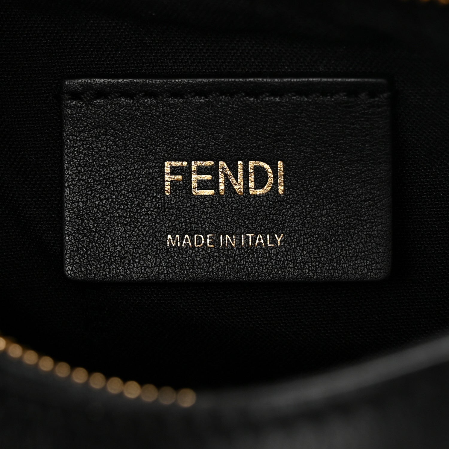 Fendi Vitello Grace Matte Mini Fendigraphy Hobo Bag Black 5 of 11