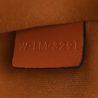 Celine Triomphe Canvas Calfskin Ava Shoulder Bag Tan 6 of 11